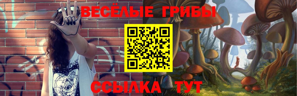 Галлюциногенные грибы MAGIC MUSHROOMS Выборг
