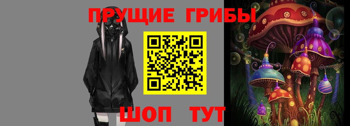 Псилоцибиновые грибы Cubensis  Псилоцибиновые грибы прущие грибы  Выборг  Вход с VPN 